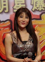 杨丽菁最新资料